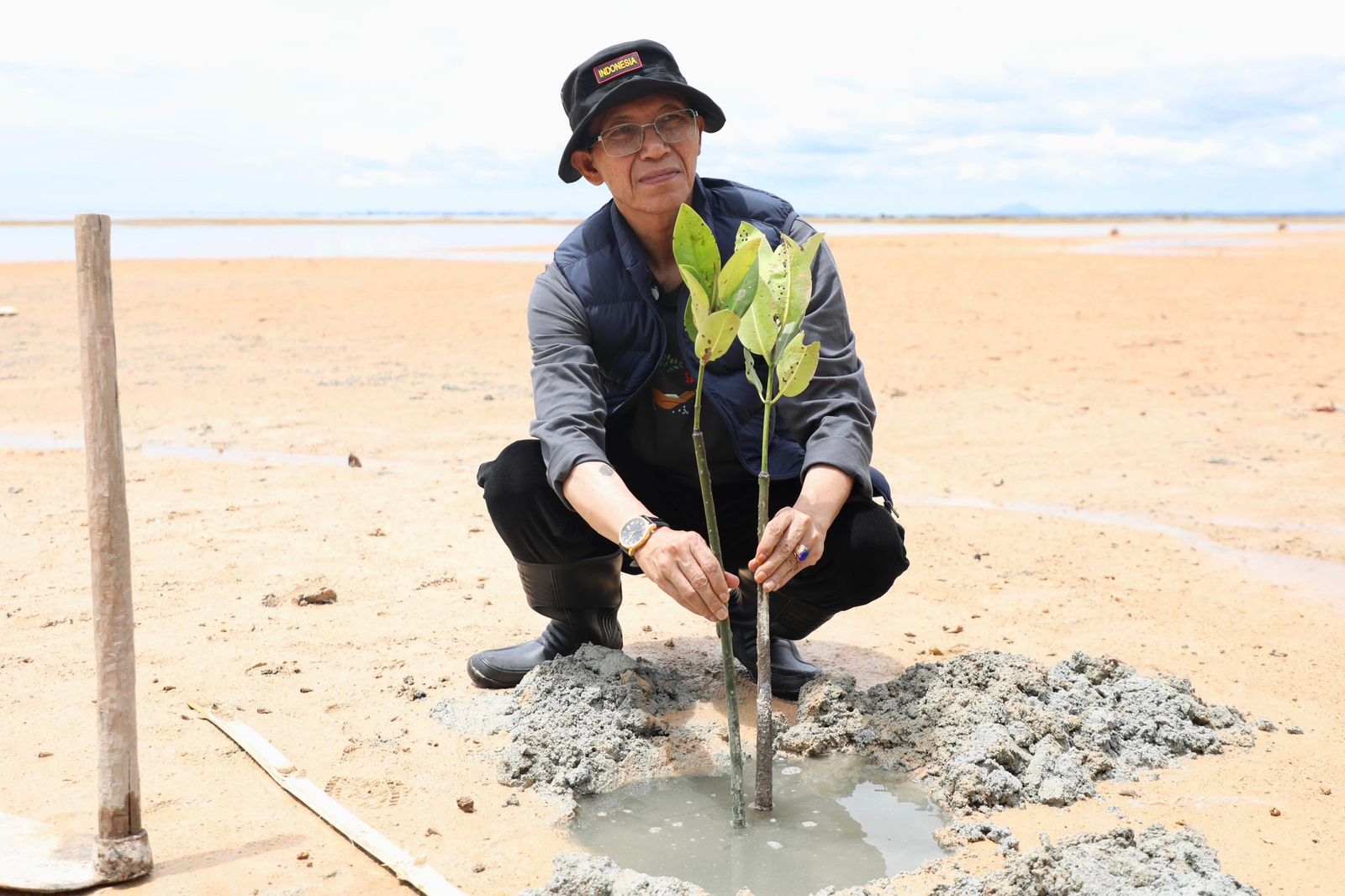 Aksi Menyelamatkan Bumi, Wali Kota bersama Mahasiswa Batam Tanam 2.000 Mangrove